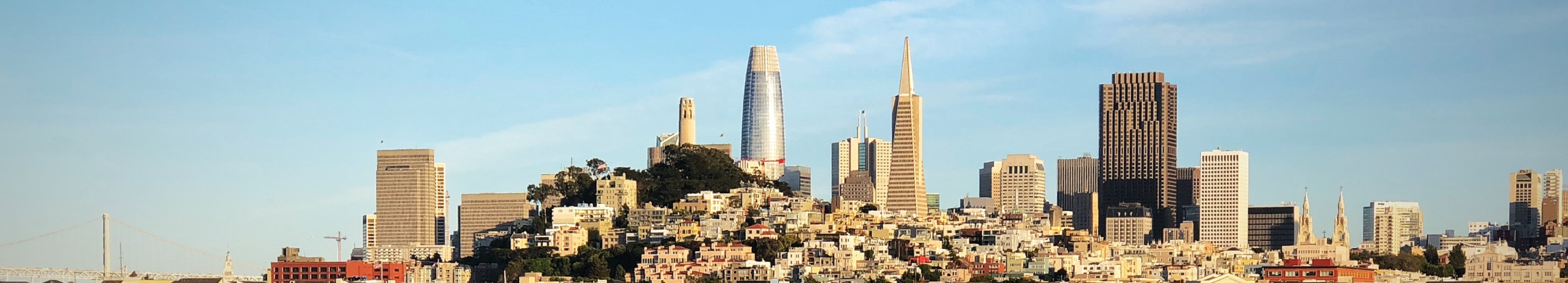 approach-bg Private Equity Strategies